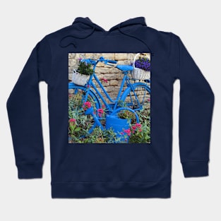 BlueBike Hoodie